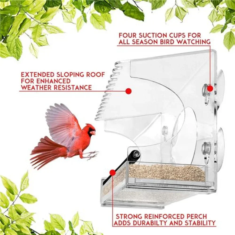 Large Clear Window Bird Feeder - Extended House with Strong Suction Cups - Steel